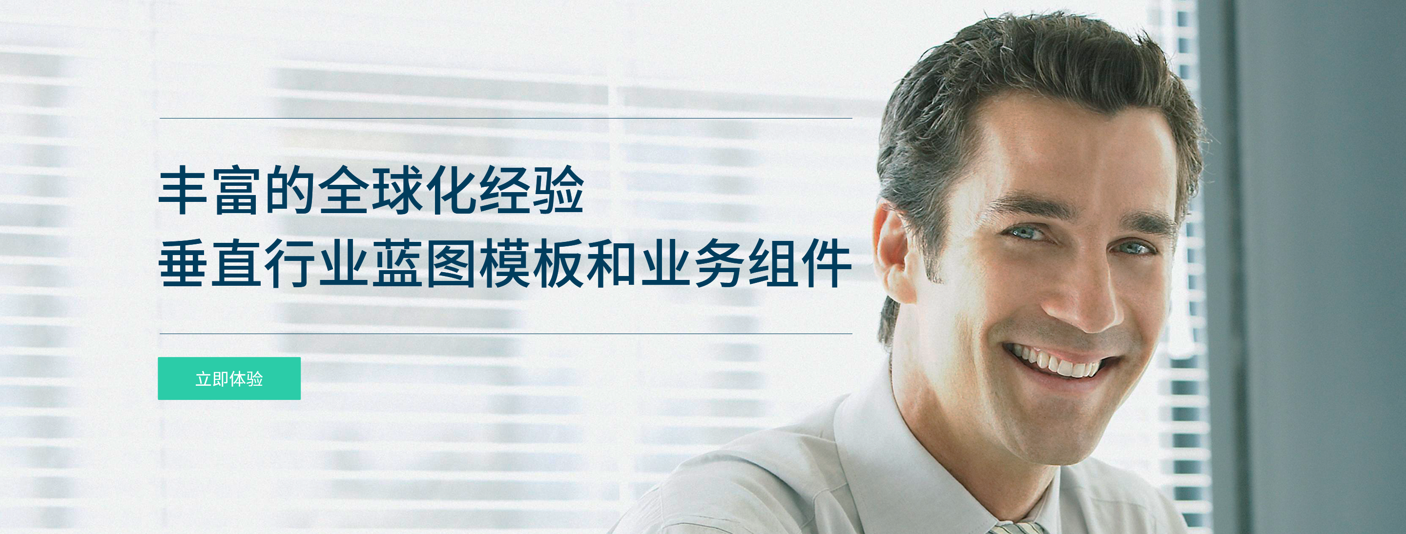 全球行业经验